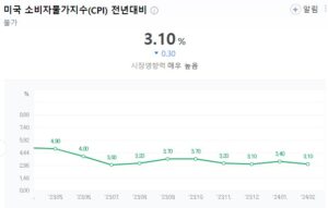 1월 미국 소비자물가지수 발표에 따른 패닉